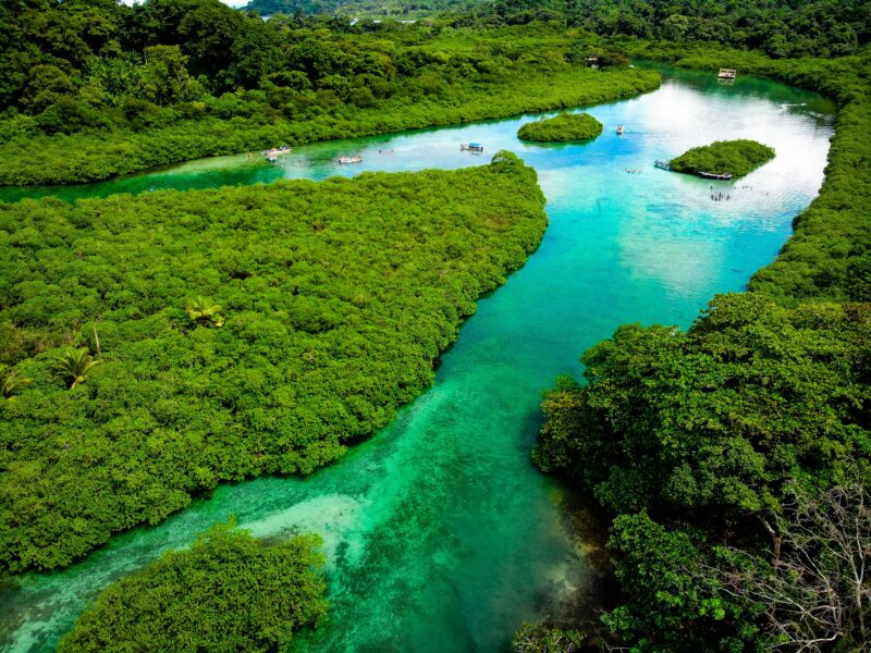 venas azules panama - el trip de jenny