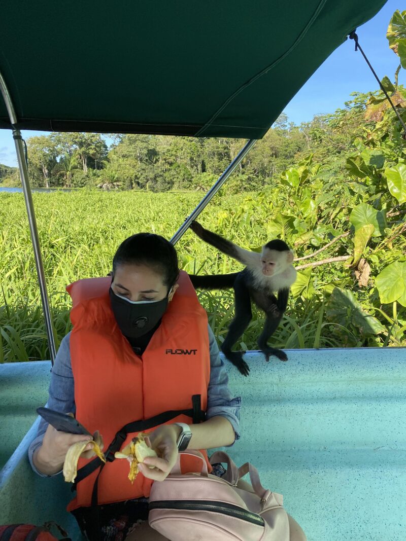 GAMBOA EXPERIENCE – MONKEY ISLAND AND RAINFOREST - eL TRIP DE jENNY